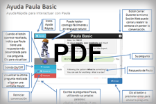 PDF - Ayuda-Paula-Basic.pdf