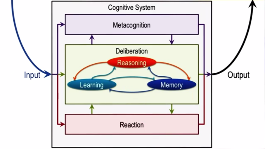 Gráfico de funcionamiento de los sitemas cognitivos