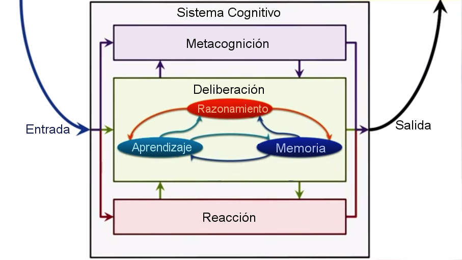 Gráfico sistema cognitivo